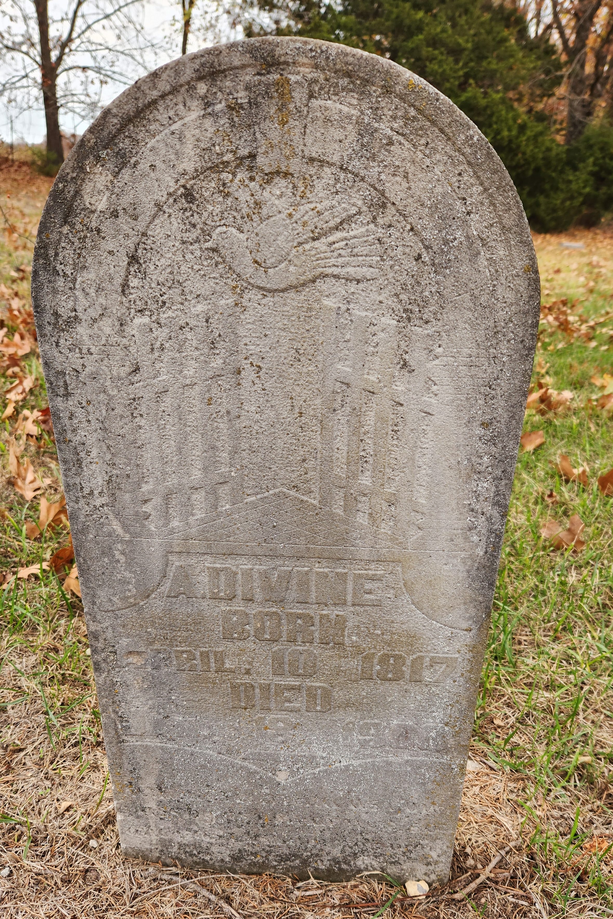 headstone of Alfred Divine  near Mutton Creek Getaway