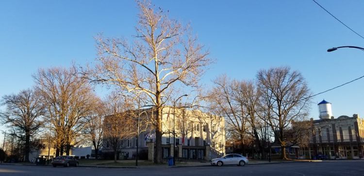 Greenfield, Missouri